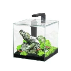 AQUATLANTIS Aquarium Kubus Betta Led 15L