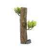 Zolux Tronc Forest : Résine, L.5,6xl.7,2xh.17,5cm