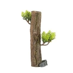 Zolux Tronc Forest : Résine, L.5,6xl.7,2xh.17,5cm