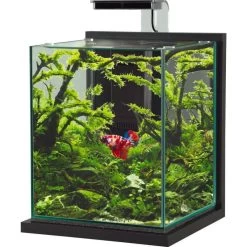 Zolux Aquarium Jalaya XL Gris Anthracite