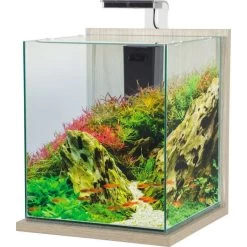 Zolux Aquarium Jalaya XXL Zebrano