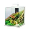 Zolux Aquarium Jalaya XXL - 31,5L - Blanc Cérusé