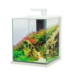 Zolux Aquarium Jalaya XXL - 31,5L - Blanc Cérusé
