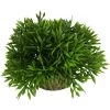 Plante Artificielle Pour Aquarium H8cm
