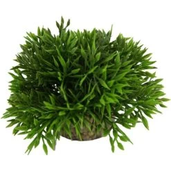 Plante Artificielle Pour Aquarium H8cm