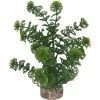 Plante Artificielle Pour Aquarium H24cm