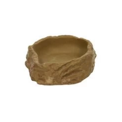 Mangeoire Moyen Modèle Pour Reptiles