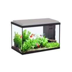 Aquarium Sarawak - 20L