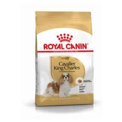 ROYAL CANIN Croquettes Chien Caval. Kg Charl. Ad : 3kg