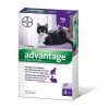 Advantix Antiparasitaire Chat/lapin : + De 4 Kg