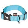 MARTIN SELLIER Collier Chien Réglable: Nylon Turquoise, 70cm
