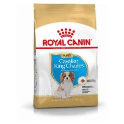 ROYAL CANIN Croquettes Chiot Cavalier K. Ch. Junior:1,5kg