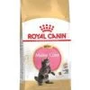 ROYAL CANIN Croquette Chaton Maine Coon Kitten - 2kg