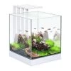 Aquarium Nano Nexus - 25L
