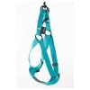 MARTIN SELLIER Baudrier Chien : Tour 70/90cm, Turquoise