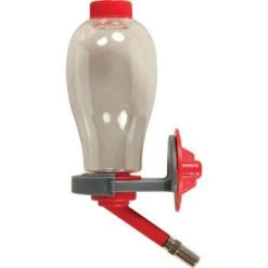 Zolux Biberon Rongeur : Cerise, 250mL