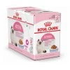 ROYAL CANIN Sachet Kitten Second Age - 12x85g