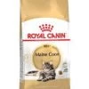 ROYAL CANIN Croquettes Chat Adulte Maine Coon - 4kgs