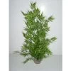 Décor Aquarium : Bambou Sur Support, H.48cm