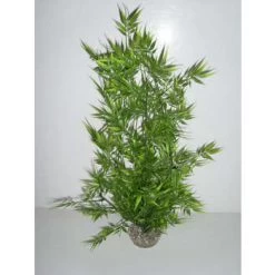 Décor Aquarium : Bambou Sur Support, H.48cm