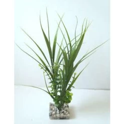 Décor Aquarium : Deux Algues, Plast., H.22cm