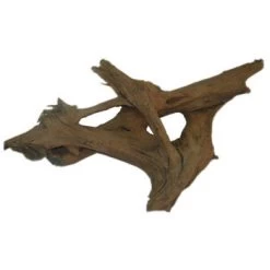 Décor Pour Aquarium: Racine Malaisie 21 Cm