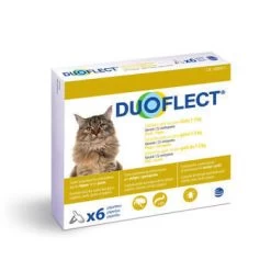 CEVA Traitement Puces/tiques Chat 1-5kg:6 Pipettes
