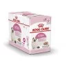 ROYAL CANIN Sachet Kitten Second Age - 12x85g
