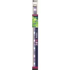 Rampe Led Proten 45cm : Freshwater