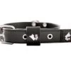 Collier Pour Chien, Noir, Taille XS