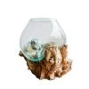 Aquarium/Terrarium Déco : Verre/teck