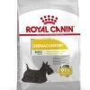 ROYAL CANIN Croquette Chien Mini Dermacomfort - 3kg