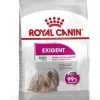 ROYAL CANIN Croquette Chien Mini Exigent - 3kg