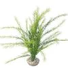 Plante Artificielle Aquarium : Rotala, 30cm