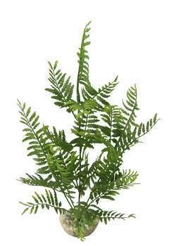 Plante Artificielle Aquarium : Bolbitis, 33cm