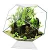 Aquarium Nexus Diamond : Blanc, 14L
