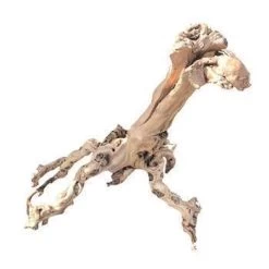 Racine Aquarium Et Terrarium : Petit Modèle