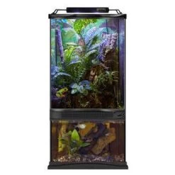 Paludarium L30xl30xH60cm 15L