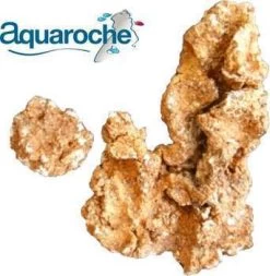 Grotte à Crevettes H. 14 Cm