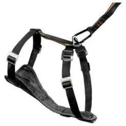 Kurgo Harnais Transport Marche Sécurité Tru-Fit - S