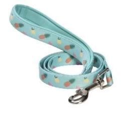 BOBBY Laisse Juicy Vert S