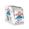 ROYAL CANIN Lot 12 Sachets Mousse Indoor Pour Chat - 85 G