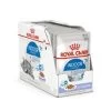 ROYAL CANIN Gelée Pour Chat Indoor Sterilised 7+ 12x85 G