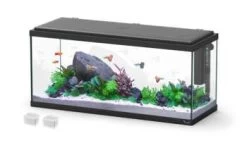 AQUATLANTIS Aquarium Explorer Amsterdam 80 Noir