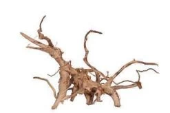 Vigne Rare Rouge Taille L