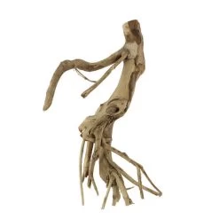 Racine Naturelle Talawa M