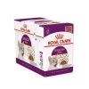 ROYAL CANIN Bouchées En Sauce Pour Chat Sensory? Taste