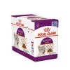 ROYAL CANIN Bouchées En Gelée Pour Chat Sensory? Taste